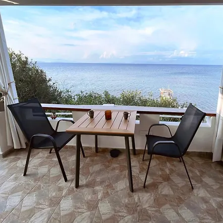 Chelona - Coastal * Hlomósz