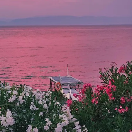 Chelona - Coastal * コルフ島