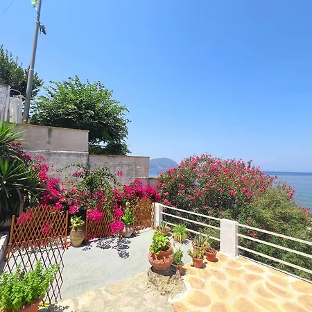 Chelona - Coastal Apartament