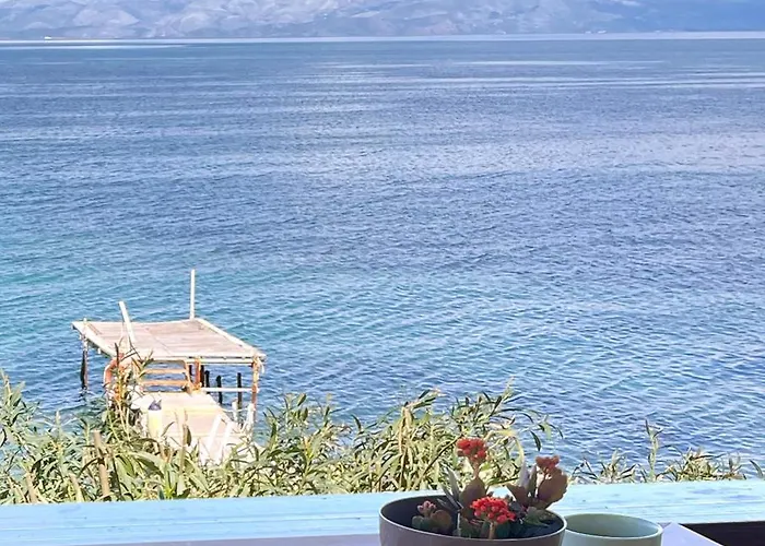 Chelona - Coastal Χλομός