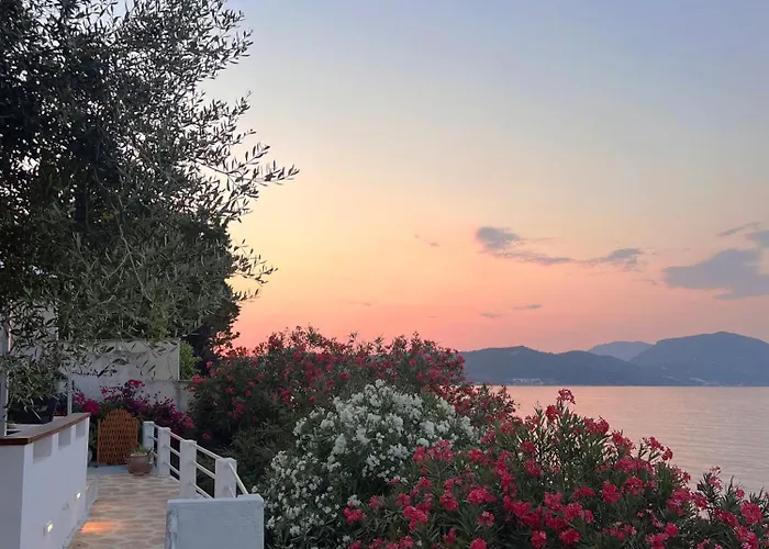 Apartament Chelona - Coastal *