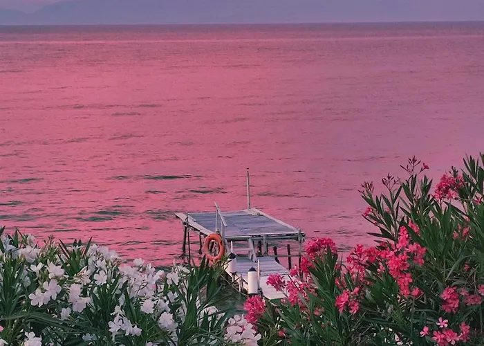 Chelona - Coastal * Χλομός