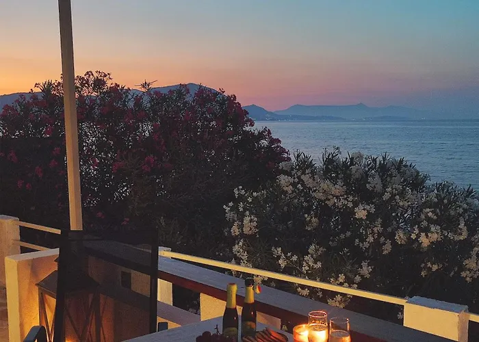 Chelona - Coastal Χλομός